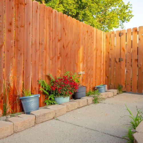 A backyard with a wooden privacy fence, several potted plants lined along the fence on concrete blocks, and a paved walkway. Some greenery is visible above the fence.
